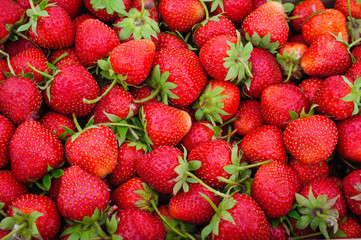 strawberries isolated on a white background