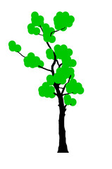 the  tree on white background,illustration