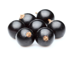 Blackcurrant in closeup