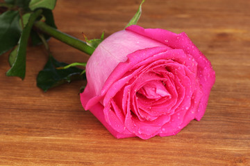 beautiful pink rose on wooden table close-up