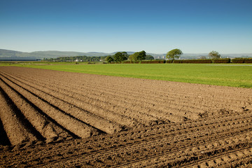 Rural scenery with clear sky