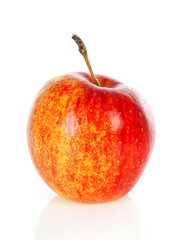 One red apple
