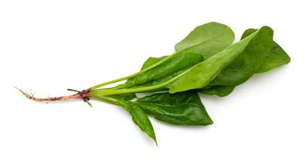 spinach