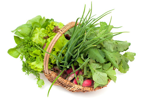 basket with fresh herbs and vegetables