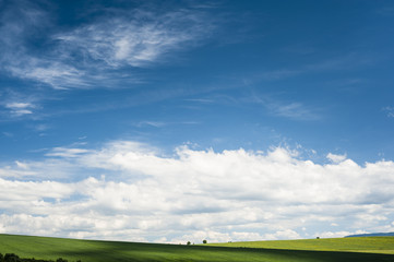 Fototapeta premium Meadows in summer with shadow