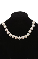 Pearl necklace on black mannequin isolated on white