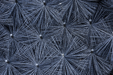 Obraz premium Background