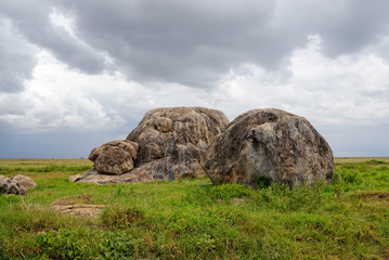 Serengeti, Tanzania