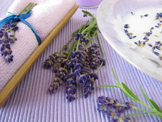 Badezusatz mit Milch und Lavendel