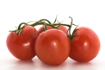Pomodori