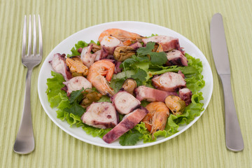 seafood salad with parsley on white plate
