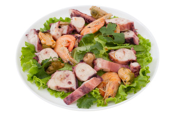 seafood salad with parsley on white plate
