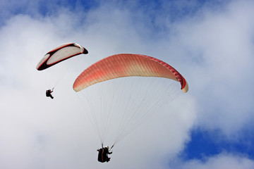 Paragliders