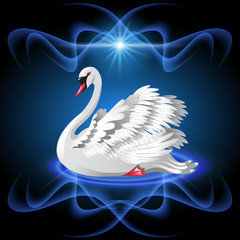 Elegant white swan © Marisha