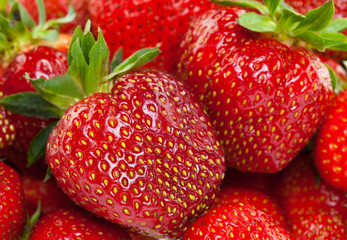 Strawberry background