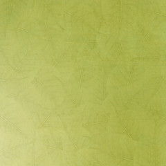 Old paper texture and background