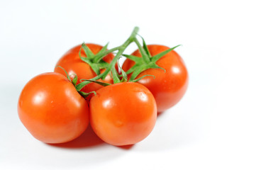 Four tomatoes on white background