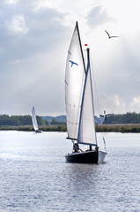 Sailboats on the lake
