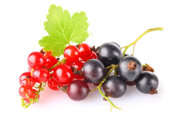 black and red currant with green leaf isolated on white