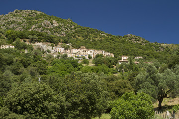 Fototapeta premium village corse en montagne (moltifao)