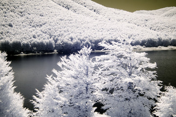 lago montagna paesaggio boschi infrarosso