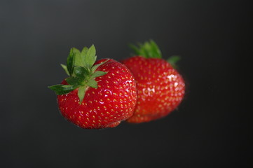 Erdbeere freigestellt 3