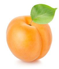 Fototapeta na wymiar Apricot with leaf