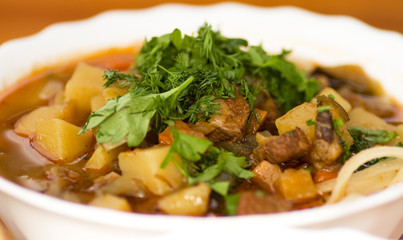 Close up of soup lagman decorated with greens