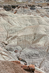 Petrified Forest View