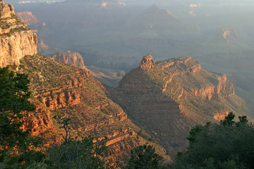 Grand Canyon Color