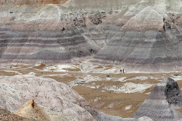 Hiking the Petrified Forest