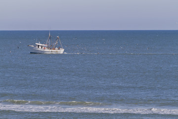 Commercial Fishing