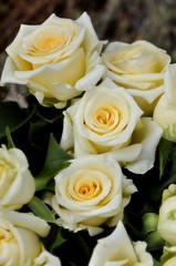 bouquet of white roses and yellow