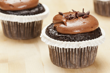 Chocolate Frosted Cupcake