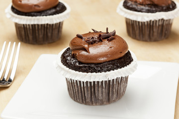 Chocolate Frosted Cupcake