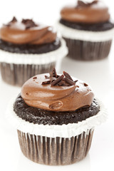 Chocolate Frosted Cupcake