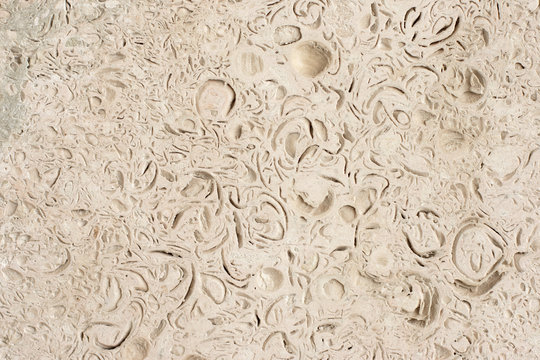 รูปภาพCoquina เลือกดูภาพถ่ายสต็อก เวกเตอร์ และวิดีโอ5,121 Adobe Stock