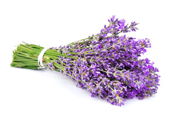 Bouquet of a fragrant lavender