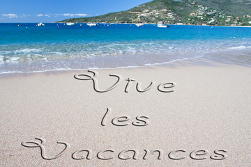 Vive Les Vacances Photos Illustrations Vecteurs Et