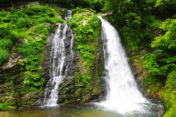 銀山の滝