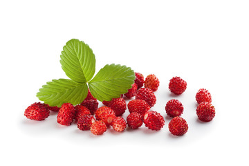 Wild strawberry