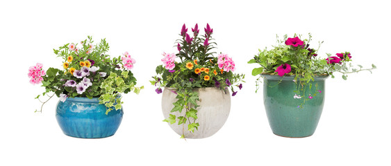 Fototapeta Spring Summer flower pots isolated on white obraz