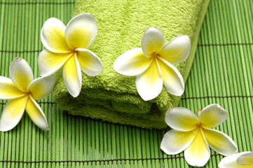 Fototapeta na wymiar frangipani flower and green towel on green mat