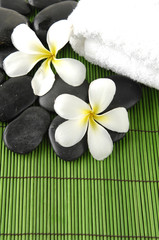 Obraz na płótnie Canvas frangipani flower and towel with zen stones on green mat