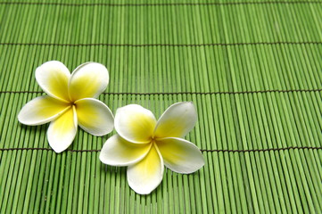 Fototapeta na wymiar frangipani flower on green mat