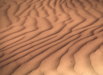 Sand dune texture
