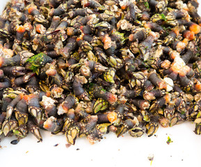 goose barnacles