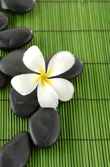 Fototapeta na wymiar White frangipani and zen stone on green stick straw mat