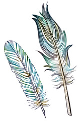 Obraz premium feathers