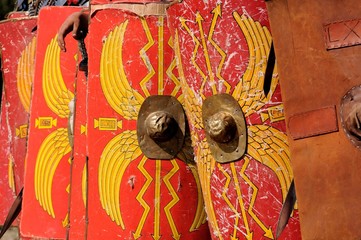 Roman legion shield